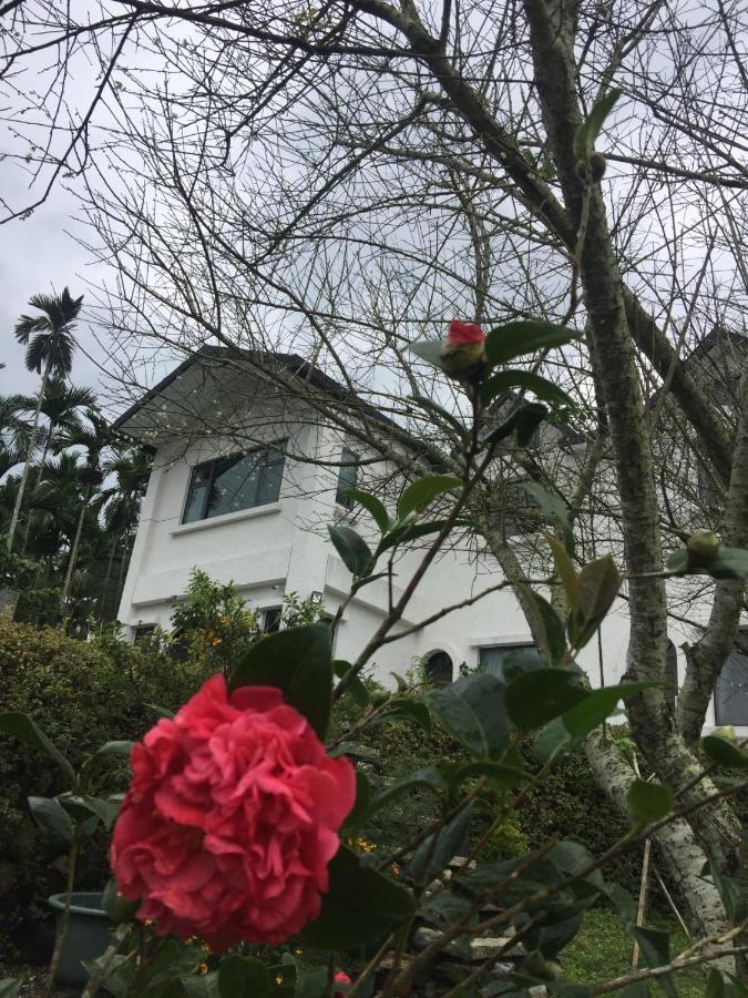 Wuju Wusu B&B Wenlan Exterior foto